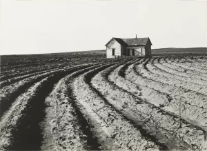 Lens of Compassion: The Transformative Art of Dorothea Lange