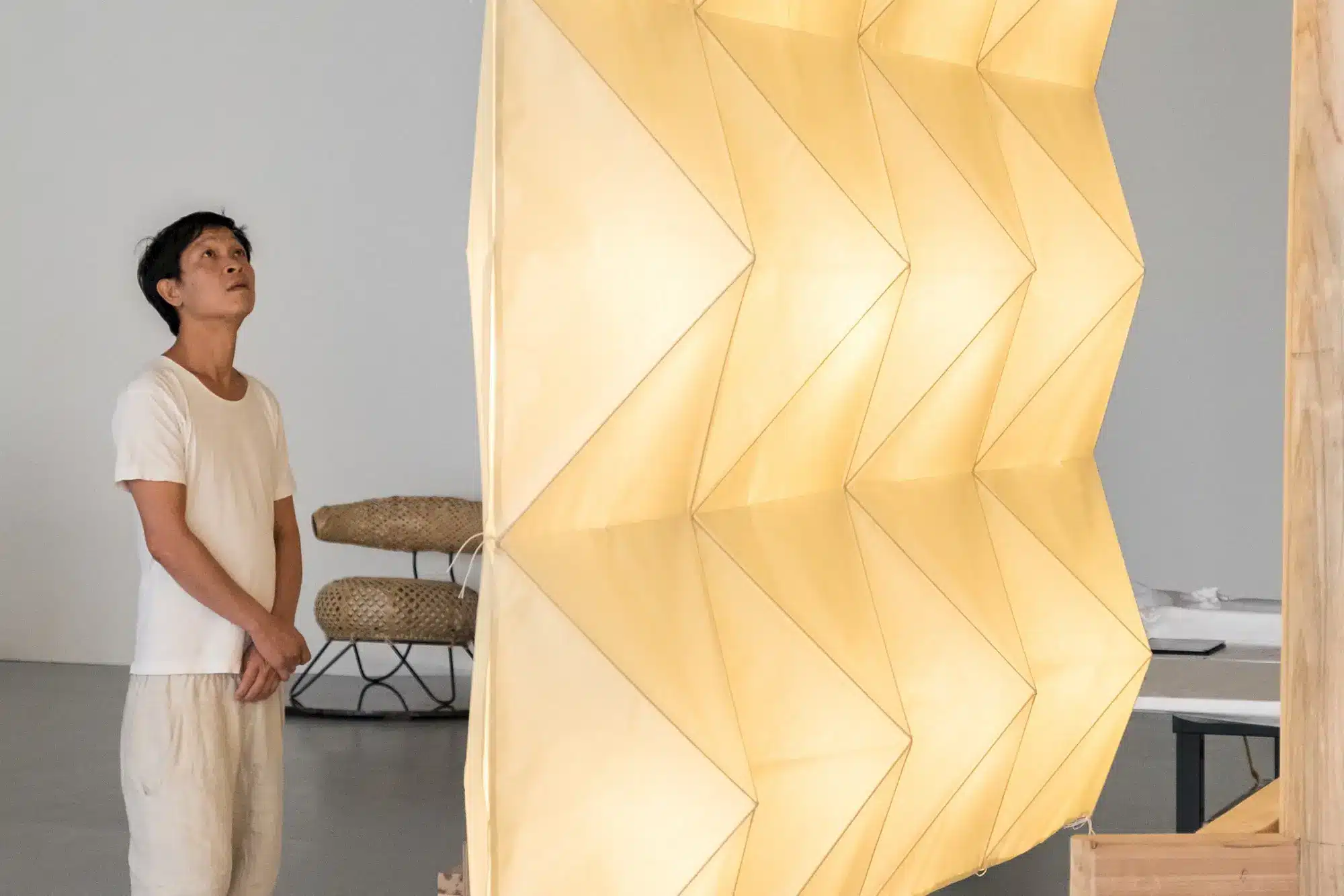 Danh Vo art
